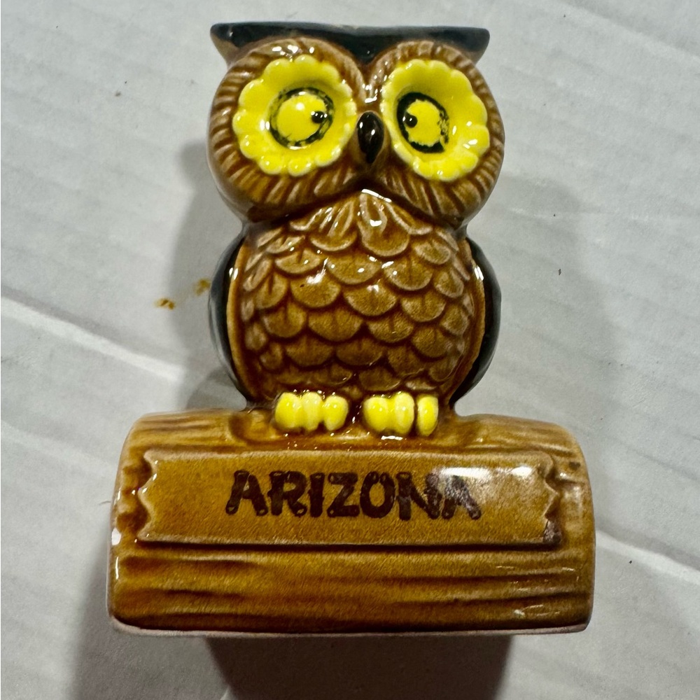 Brown and Yellow Owl Salt and Pepper Shakers